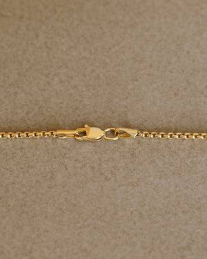 Solid gold box chain by George Rings 14k yellow gold in sizes 18" 20" 22" 24" with a lobster clasp.