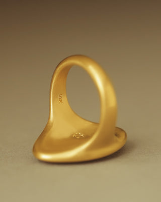 NEW Shield Ring