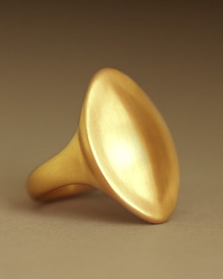 NEW Shield Ring